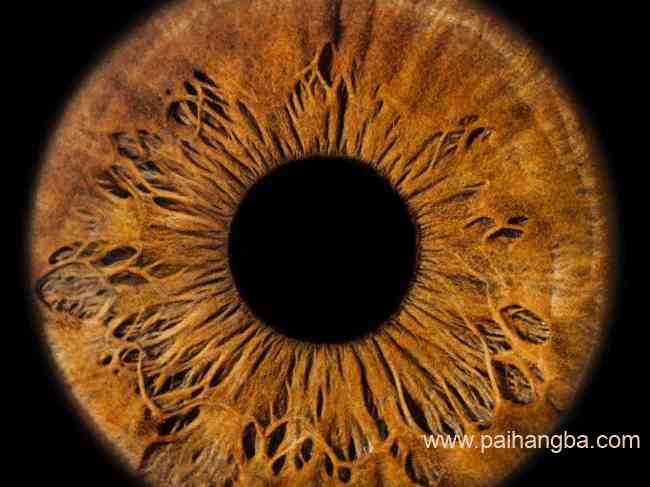 关于眼睛的十大有趣事实 原来眼睛有这么多秘密！
