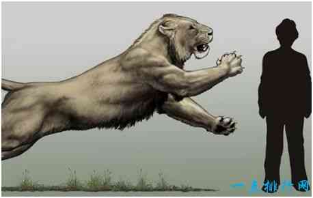 史上最大的狮子，残暴狮全长可至4米，体重400公斤以上
