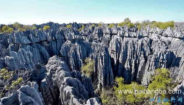 世界上最危险的地方Top10 巴西的这个岛因蛇出名