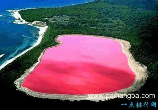 世界上最美的八大湖泊 澳大利亚粉红湖美瞎你的眼