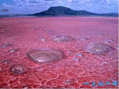 世界十大最奇特的湖泊 有个湖的颜色竟全是粉红色！