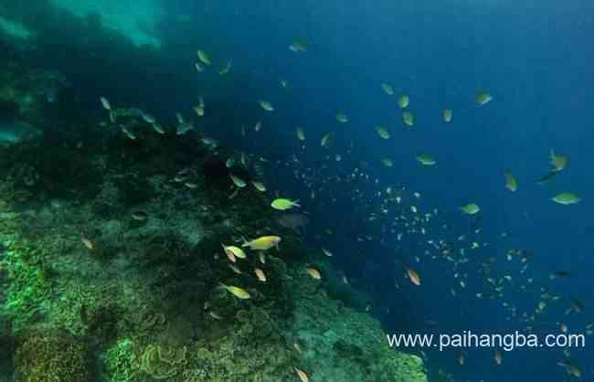 世界上最深的海沟 马里亚纳海沟被认为是地球表面最深处