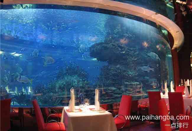 全球十大水下餐厅 在德班货舱餐厅你可以在鲨鱼嘴边用餐