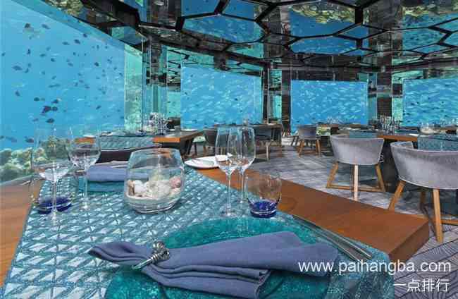 全球十大水下餐厅 在德班货舱餐厅你可以在鲨鱼嘴边用餐