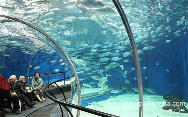 世界十大水族馆排名 上海海洋水族馆位列第三