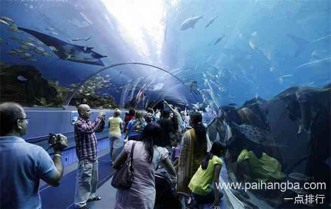 世界十大水族馆排名 上海海洋水族馆位列第三