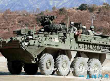 世界十大装甲运兵车    AMV居首位