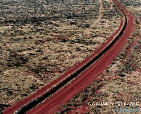 世界上最长的火车 长达八公里的澳北长龙